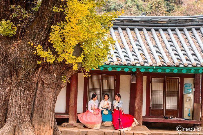 三名身穿传统韩国韩服的女子坐在全州韩屋村的传统房屋前，并排座的秋季景色非常宜人。